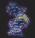 dna.gif (8660 bytes)