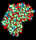 protein1.gif (7657 bytes)