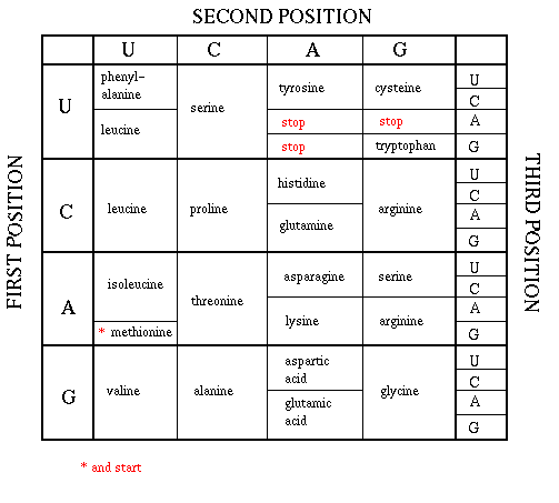 Standard Genetic Code Chart