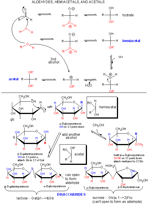 hemiacetal vs acetal