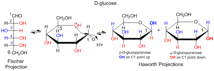 Structure Reactivity In Chemistry Ib4 Imf Carbohydrates