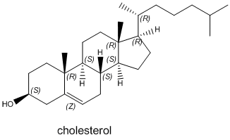 cholesterol