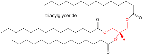 triacylglyceride