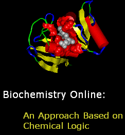Logo for Biochemistry Online: An Approach Based on Chemical Logic