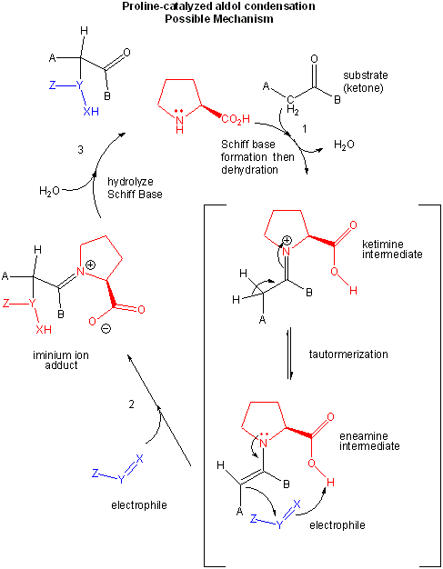hydrolysis of aspirin
