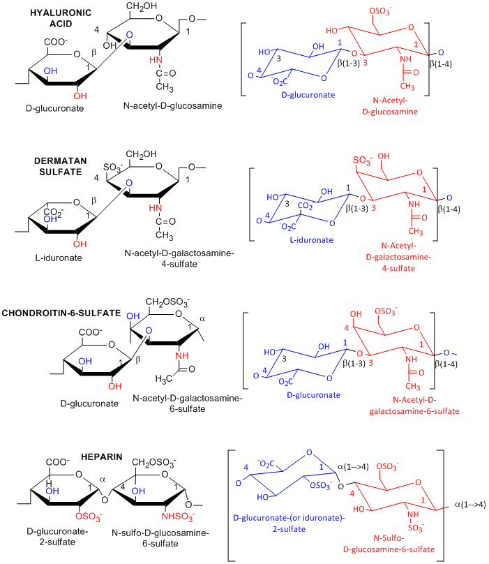  polysaccharide