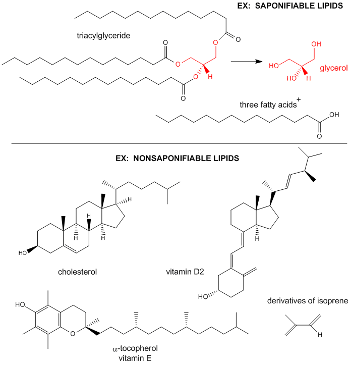 chemical structure of fats