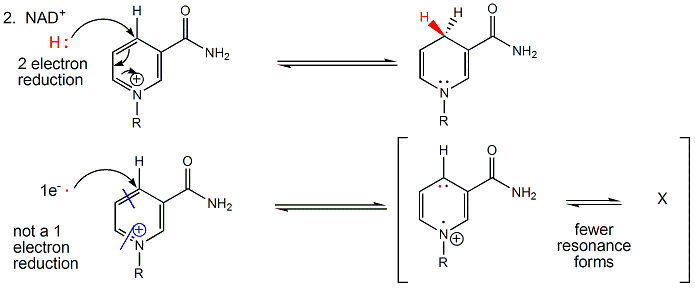 nadh oxidation