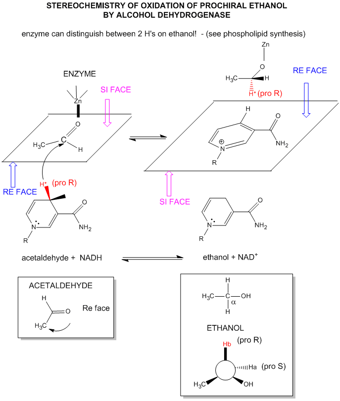 Oxidizing Agent Chart