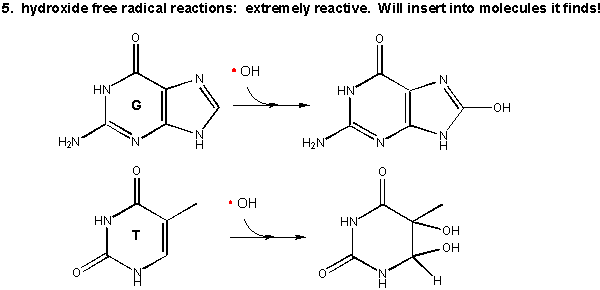 Saturated Fat Molecule. react with any molecule it