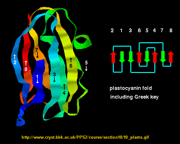 Greek Key Motif