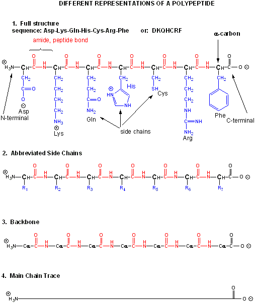 Amino Acids Nonpolar