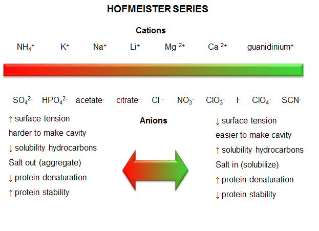 hofmeister series