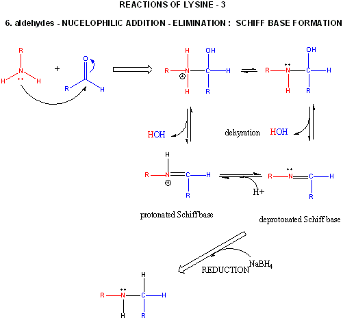 Borohydride Reduction