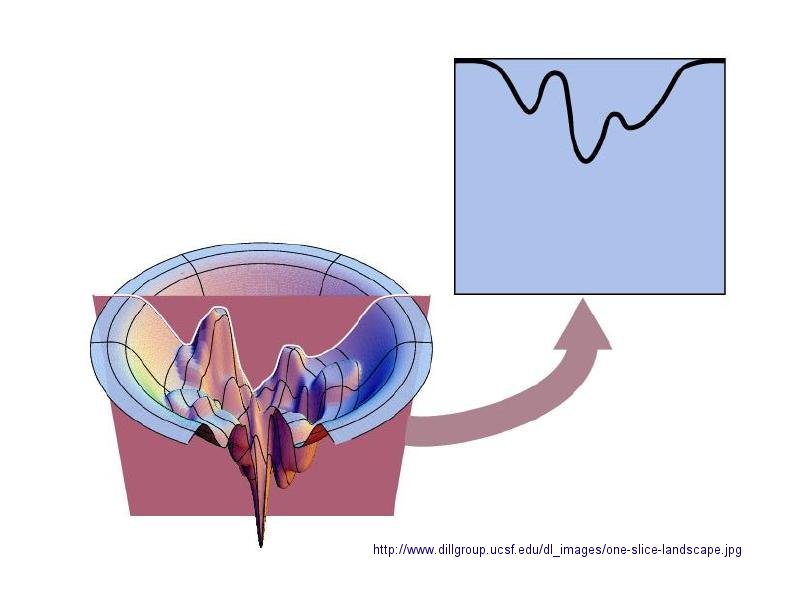 Protein Folding