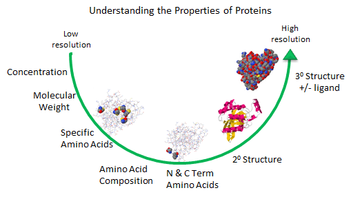Levels Of Protein Structure. Figure: Protein Analysis from