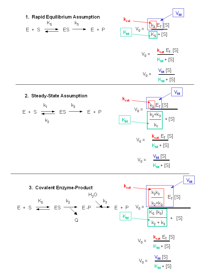 Steady-State Approximation – Foundations of Chemical and