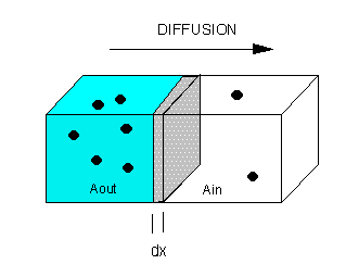Process Of Diffusion