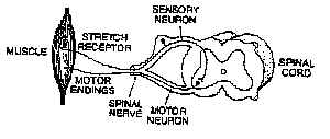 wpe2.jpg (7897 bytes)