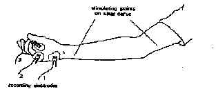 wpe4.jpg (5671 bytes)