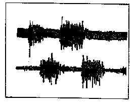 wpe7.jpg (8569 bytes)