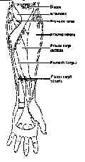 wpe8.jpg (6520 bytes)
