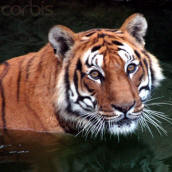 at the central zoo in Kathmandu