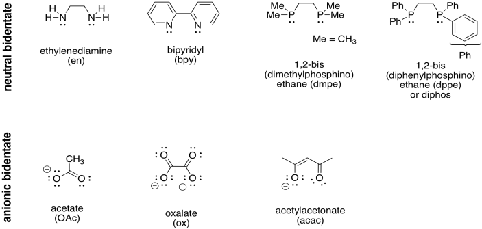 Transition Metal Complexes