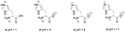 histidine at ph 7
