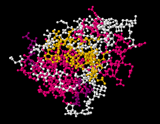 Biological Macromolecules