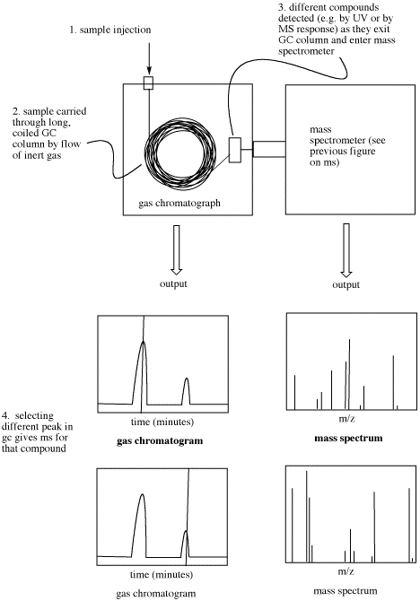 gas chromatography mass spectrometry diagram