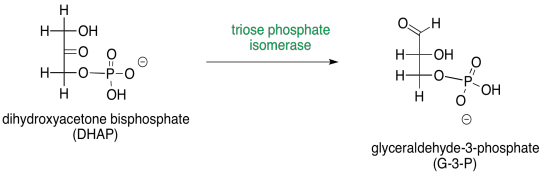 6 of phosphate structure fructose Glycolysis