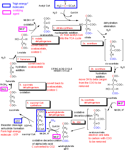 Atom   simple english wikipedia, the free encyclopedia