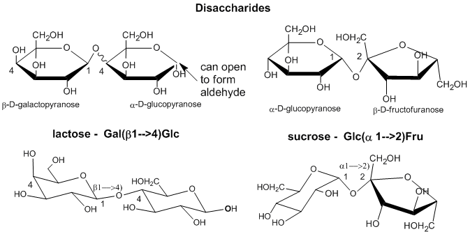 Which one of the following statements is correct about disaccharide ? -  Sarthaks eConnect | Largest Online Education Community