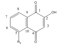 KAT 4A STRUCTURE