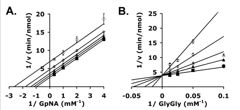 Transpeptidase_Fig3