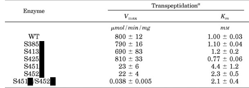 TranspeptidaseTable1