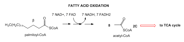 textinsert fa oxidation