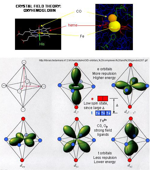 diagram orbital for PAGE YOUR ADD TITLE