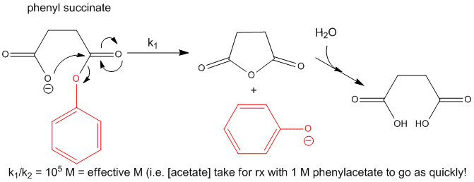 6 Solutions To Accelerate Weight Reduction And Drop Pounds