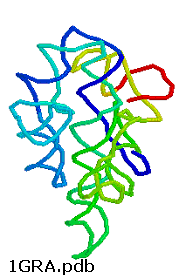 define ribozyme