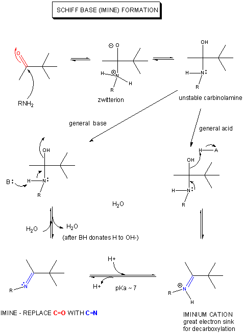 acid catalyzed decarboxylation mechanism