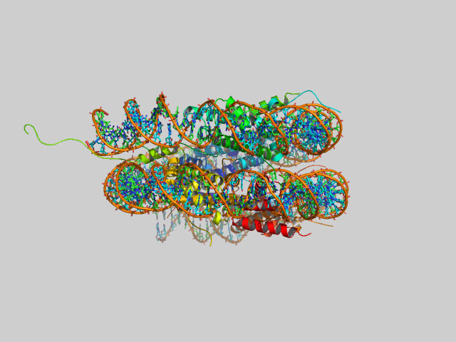 nucleosomeside