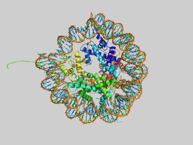 nuclesometop