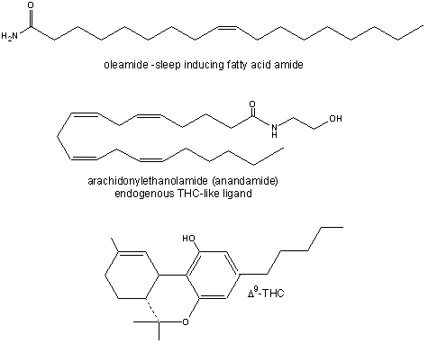 lipid examples