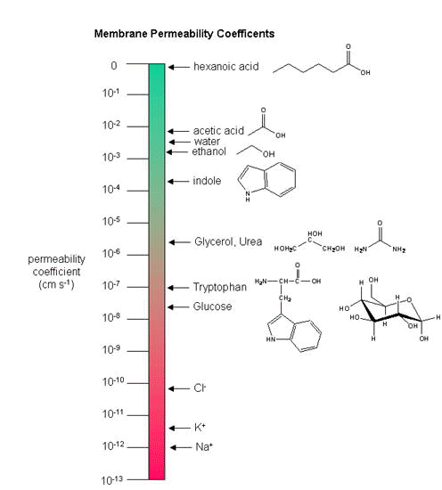 membrane structures calculation