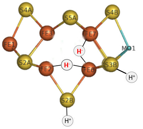 E4hydrides