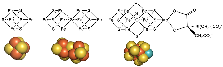 metalclustersNitrogenase