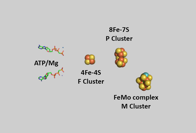 NitrogenasesWithATPMetalComplexes