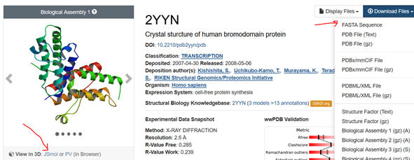 ExampleProtein_2YNN